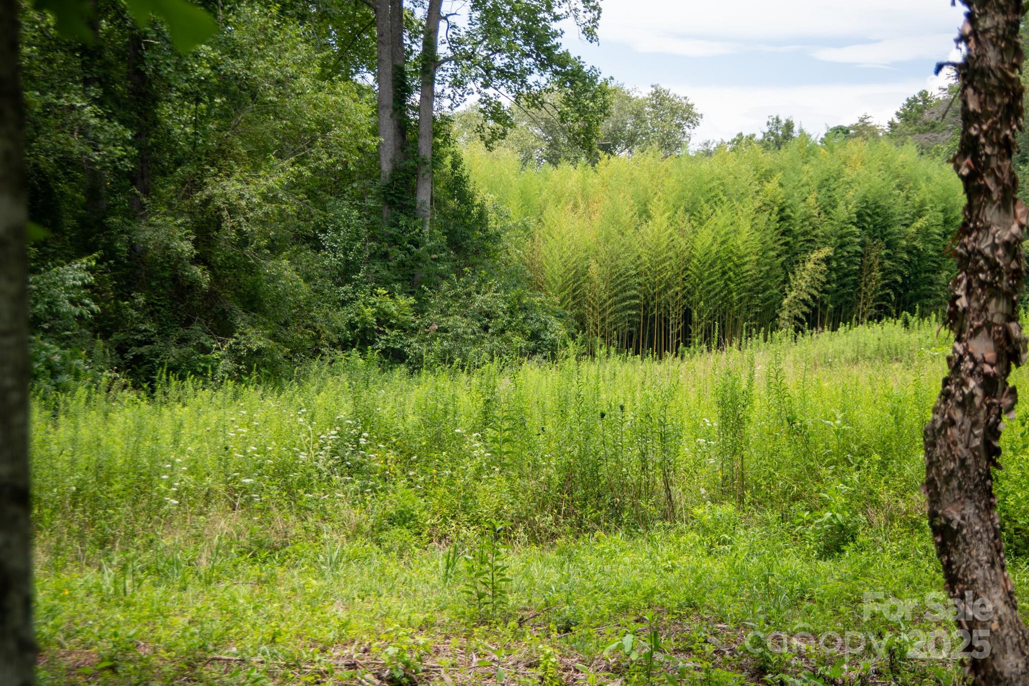 0 Union Baptist Road, Unit 2 Lenoir, NC 28645 - Photo 26 of 37 Gallery Image 26