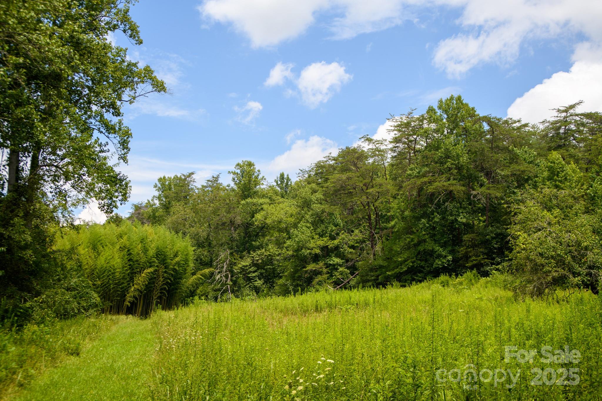 0 Union Baptist Road, Unit 2 Lenoir, NC 28645 - Photo 8 of 37 Gallery Image 8