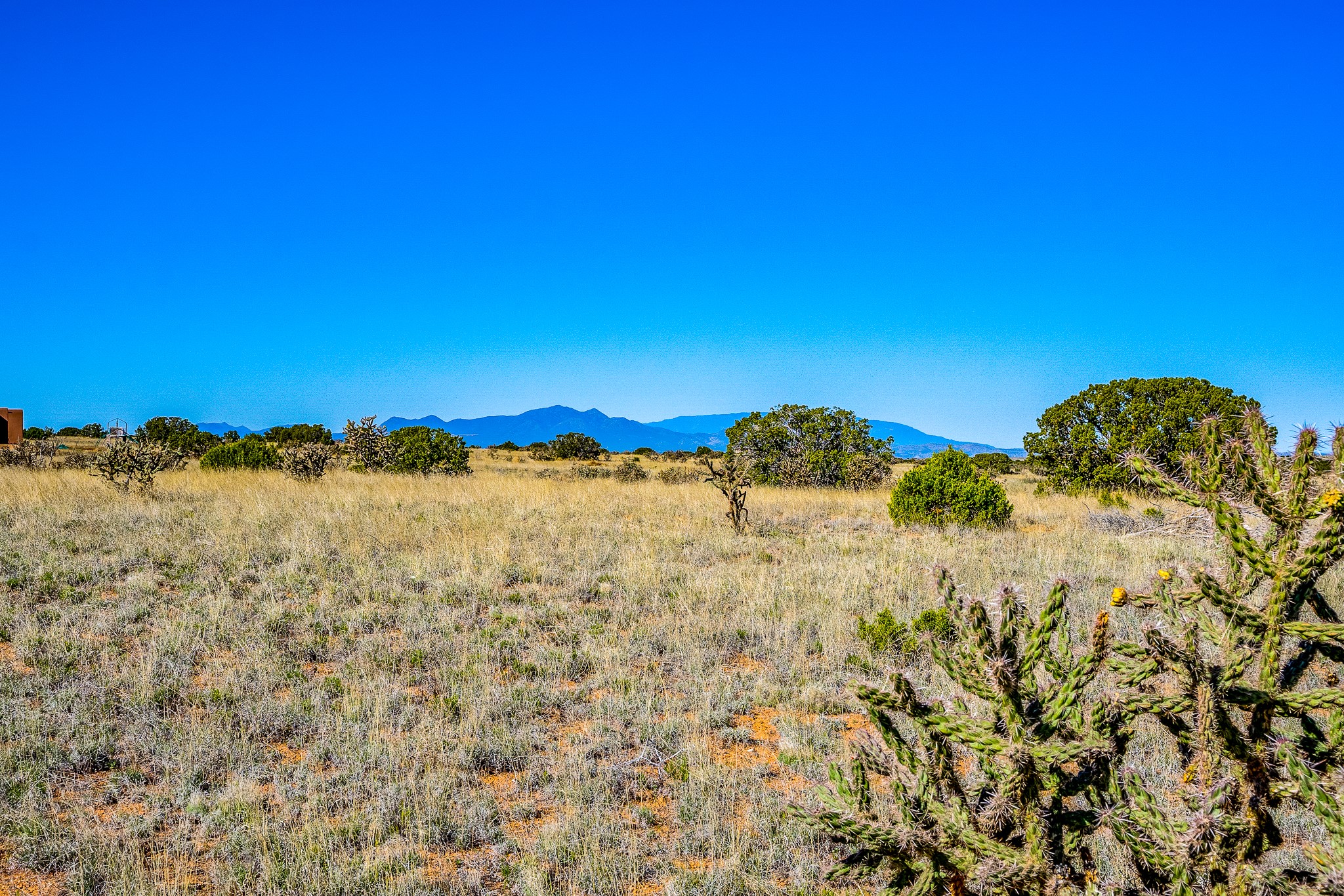 17 Short, Unit C Santa Fe, NM 87501 - Photo 1 of 1
