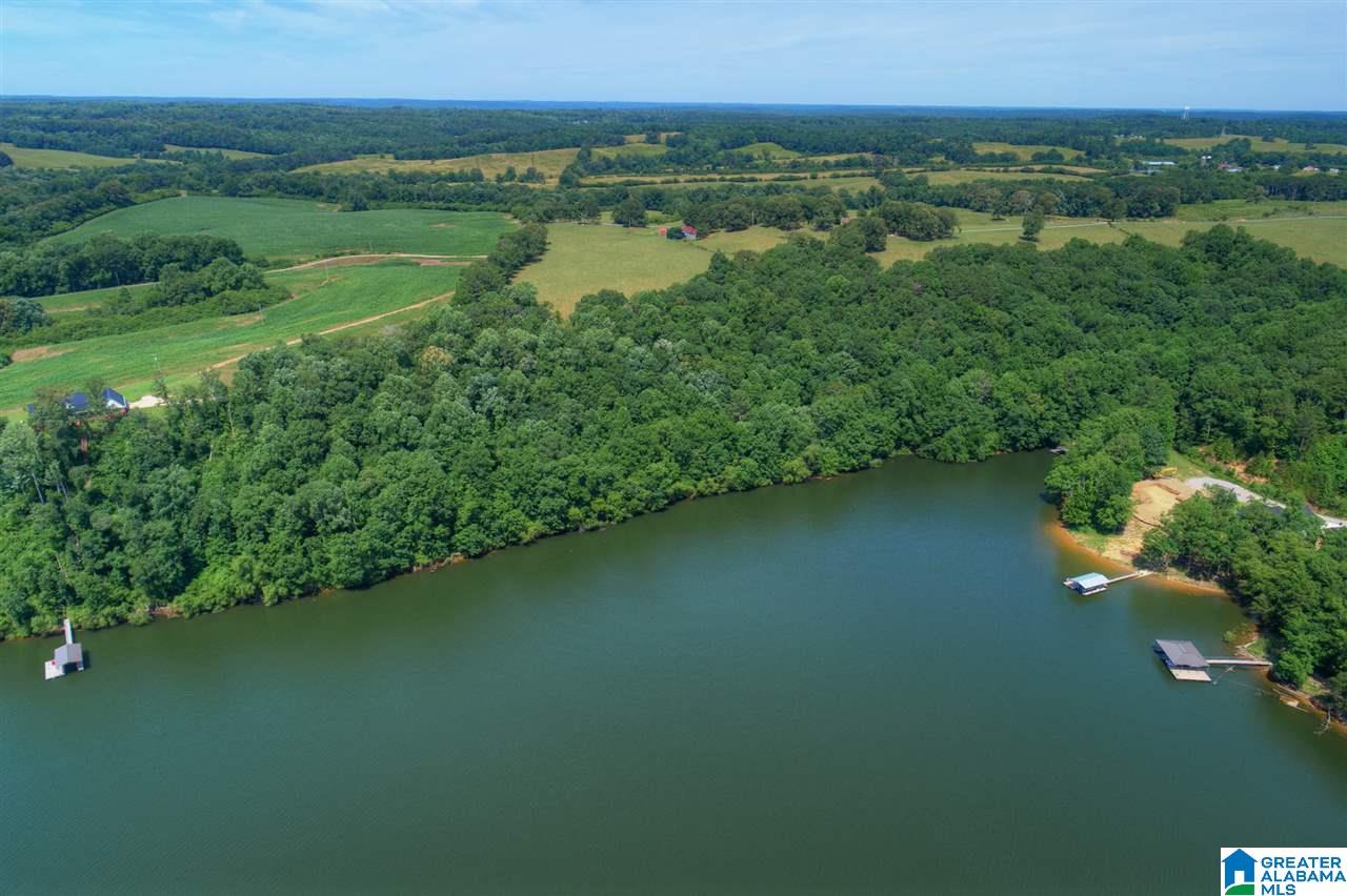 0 Ridge Drive, Unit 58 PART 54 & BOAT RAMP Arley, AL 35541 - Photo 27 of 27