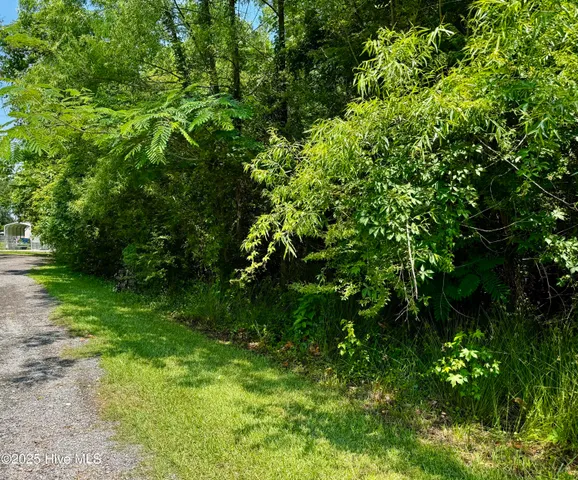 $30,000 | 109-113 Iowa Trail, Edenton, NC 27932