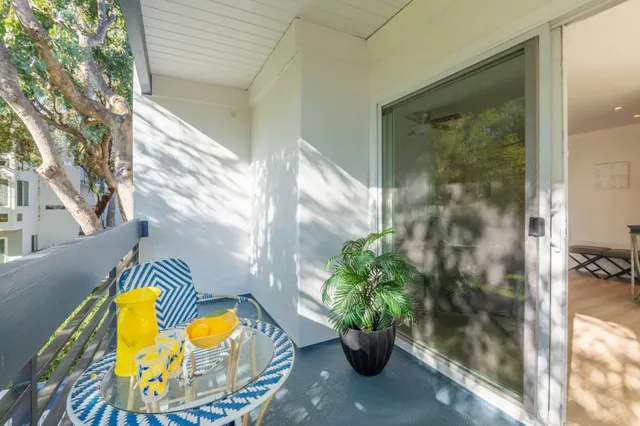 a view of yard with trees