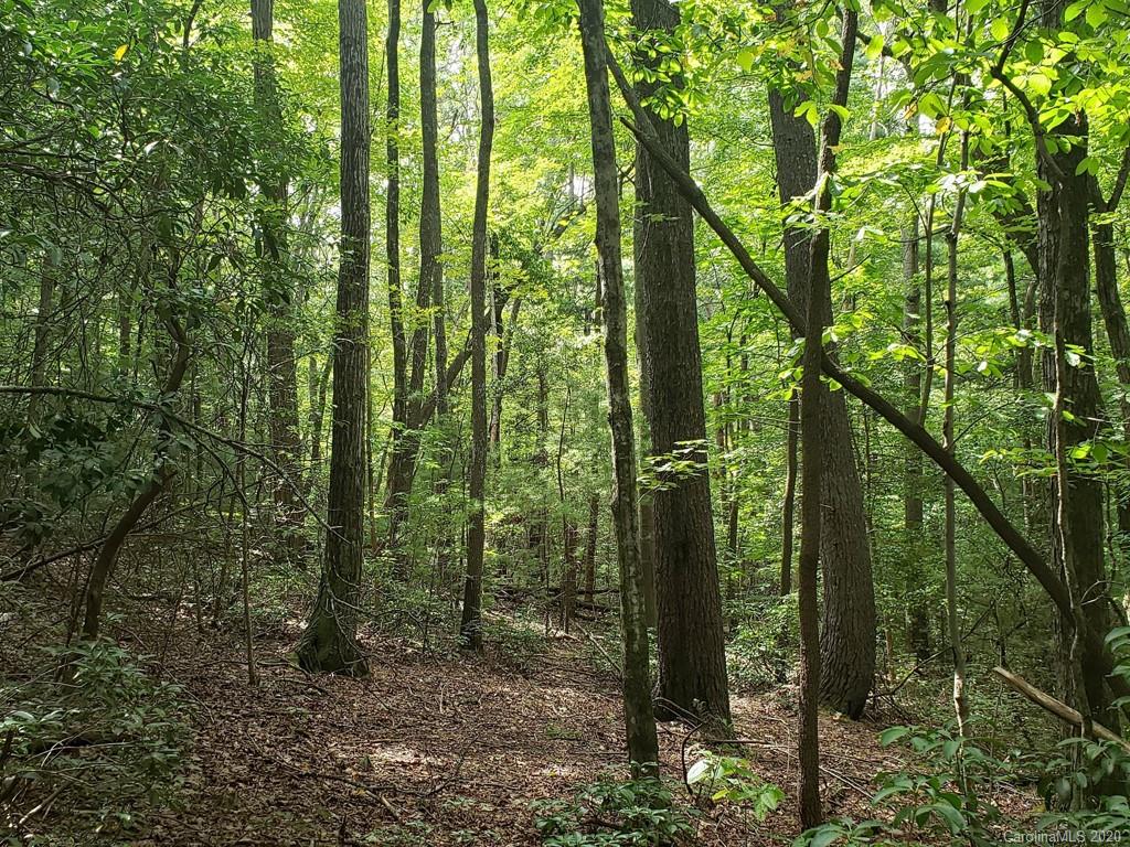 0 Gordon Road Saluda, NC 28773 - Photo 1 of 7 a view of outdoor space and green space