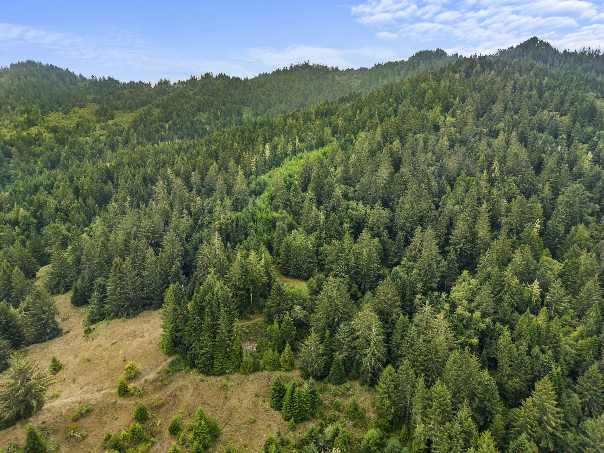 0 Williams Creek Road Ferndale, CA 95536 - Photo 5 of 13