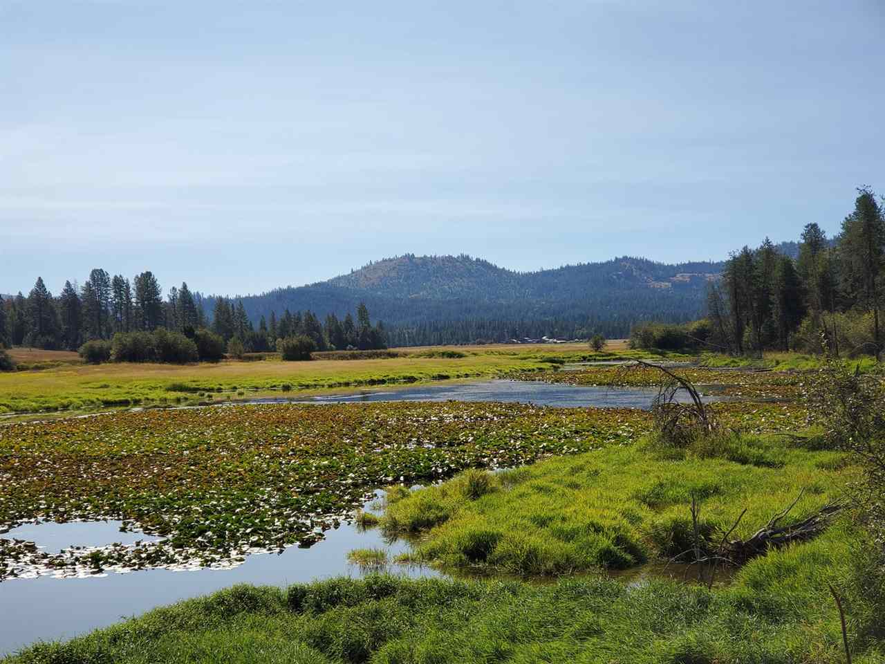 9904 Leclerc Road Newport, WA 99156 - Photo 11 of 40 Gallery Image 11