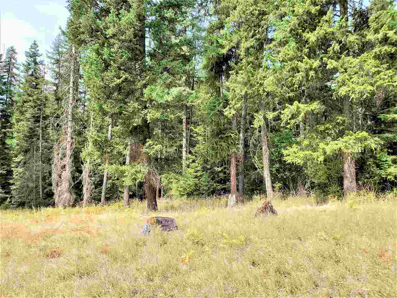 9904 Leclerc Road Newport, WA 99156 - Photo 14 of 40 Gallery Image 14