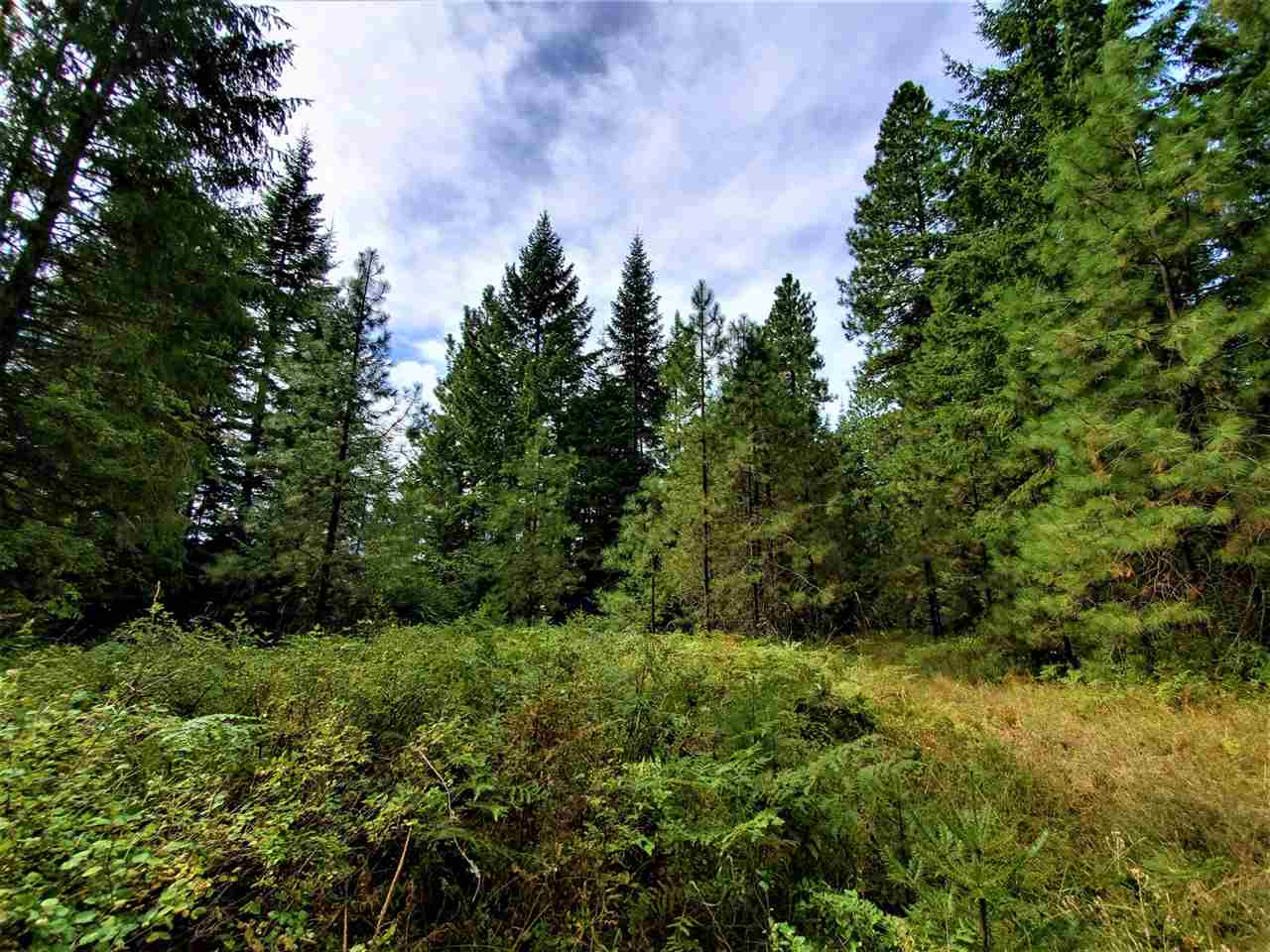 9904 Leclerc Road Newport, WA 99156 - Photo 15 of 40 Gallery Image 15