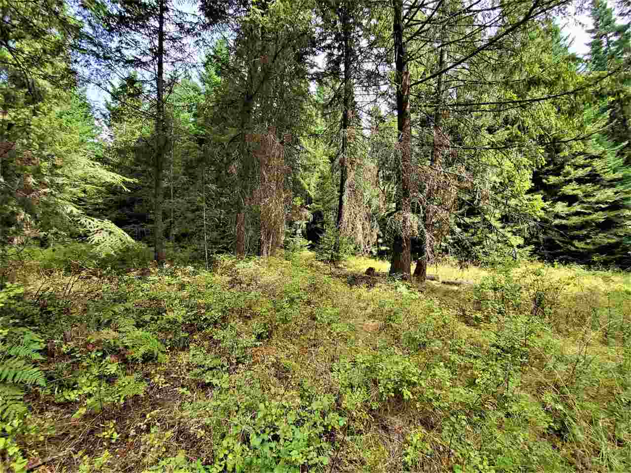9904 Leclerc Road Newport, WA 99156 - Photo 16 of 40 Gallery Image 16
