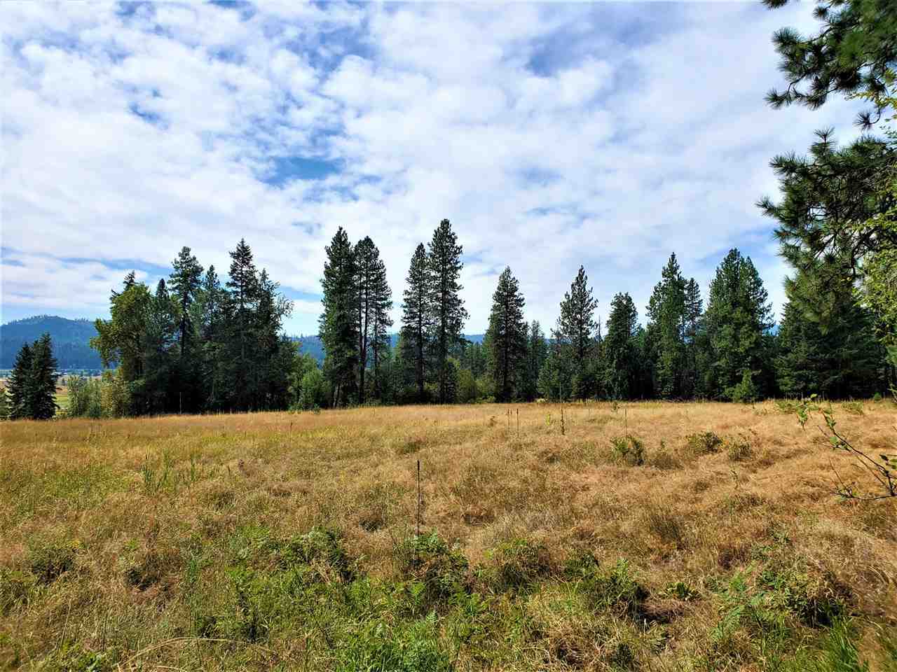 9904 Leclerc Road Newport, WA 99156 - Photo 17 of 40 Gallery Image 17