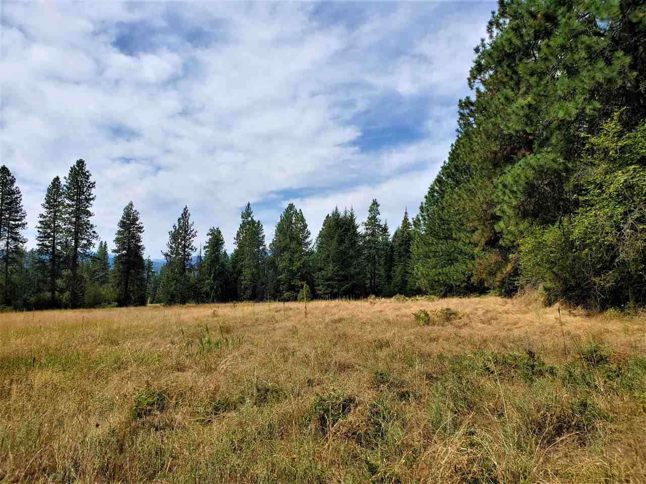 9904 Leclerc Road Newport, WA 99156 - Photo 18 of 40 Gallery Image 18