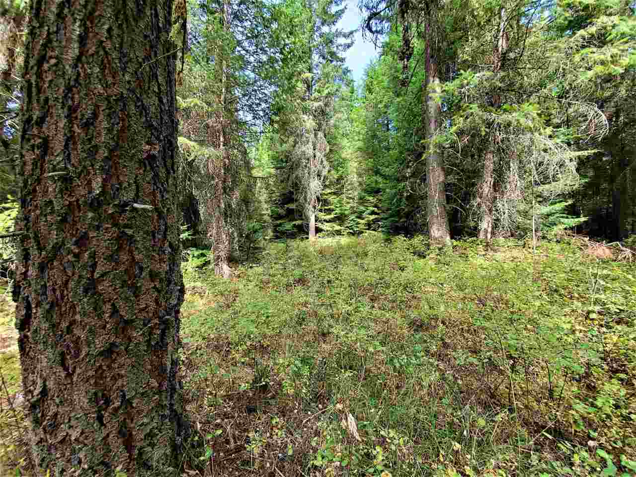 9904 Leclerc Road Newport, WA 99156 - Photo 19 of 40 Gallery Image 19