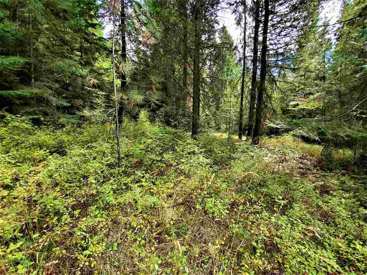 9904 Leclerc Road Newport, WA 99156 - Photo 21 of 40 Gallery Image 21