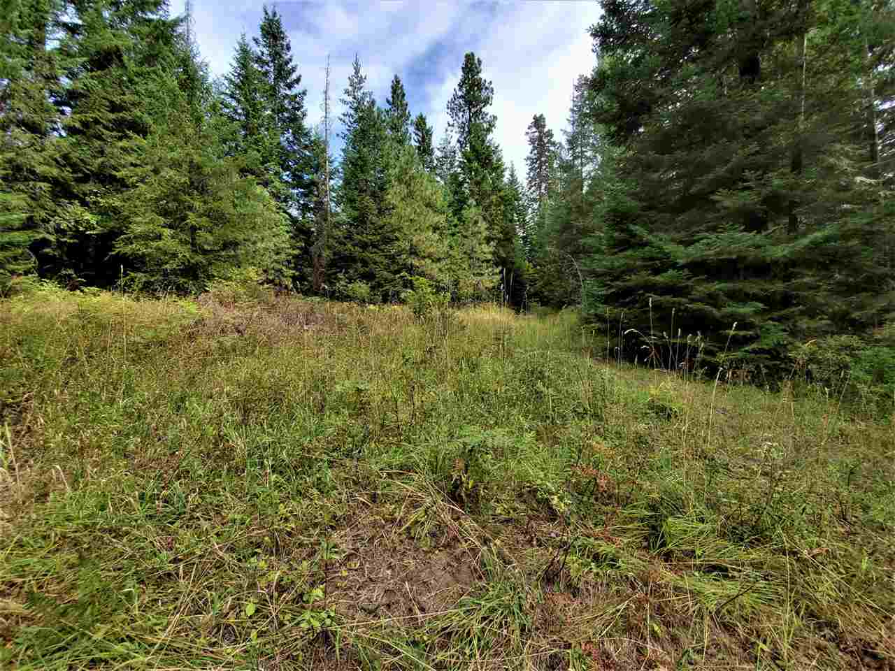 9904 Leclerc Road Newport, WA 99156 - Photo 22 of 40 Gallery Image 22