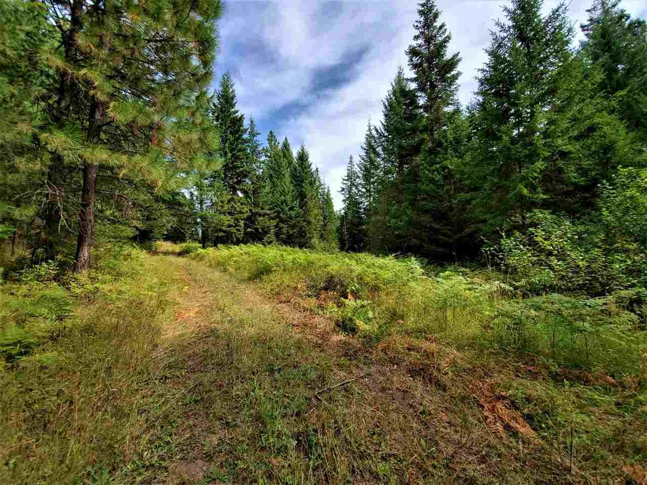 9904 Leclerc Road Newport, WA 99156 - Photo 23 of 40 Gallery Image 23