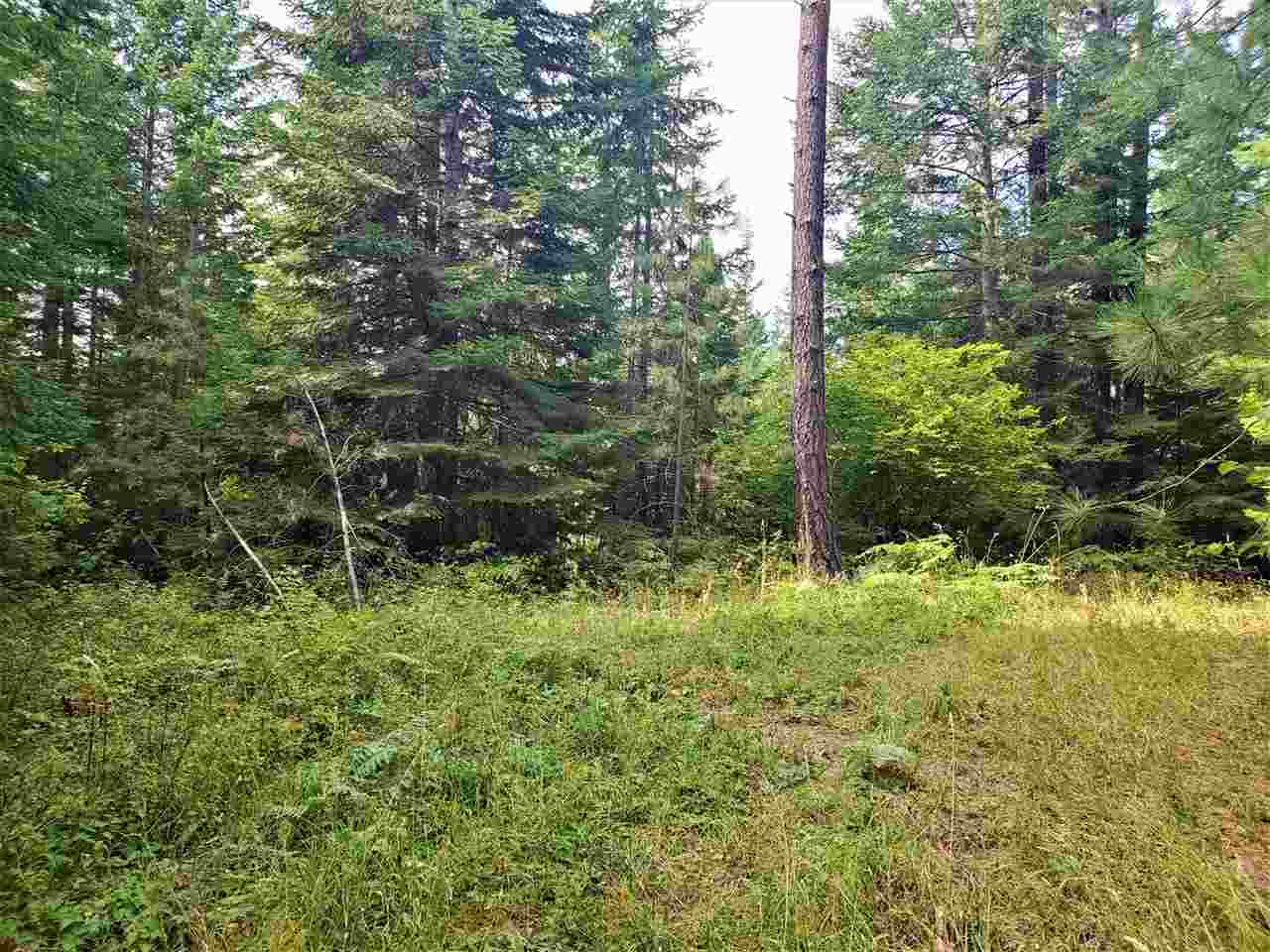 9904 Leclerc Road Newport, WA 99156 - Photo 24 of 40 Gallery Image 24