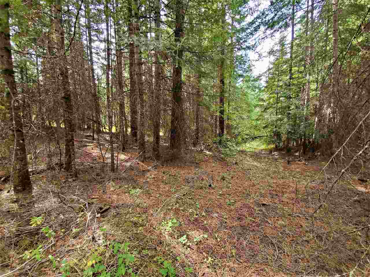 9904 Leclerc Road Newport, WA 99156 - Photo 25 of 40 Gallery Image 25