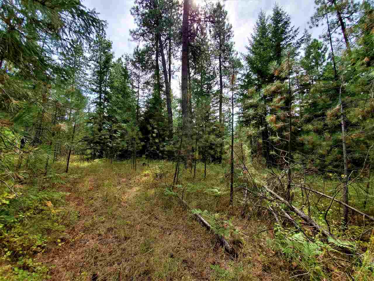 9904 Leclerc Road Newport, WA 99156 - Photo 26 of 40 Gallery Image 26