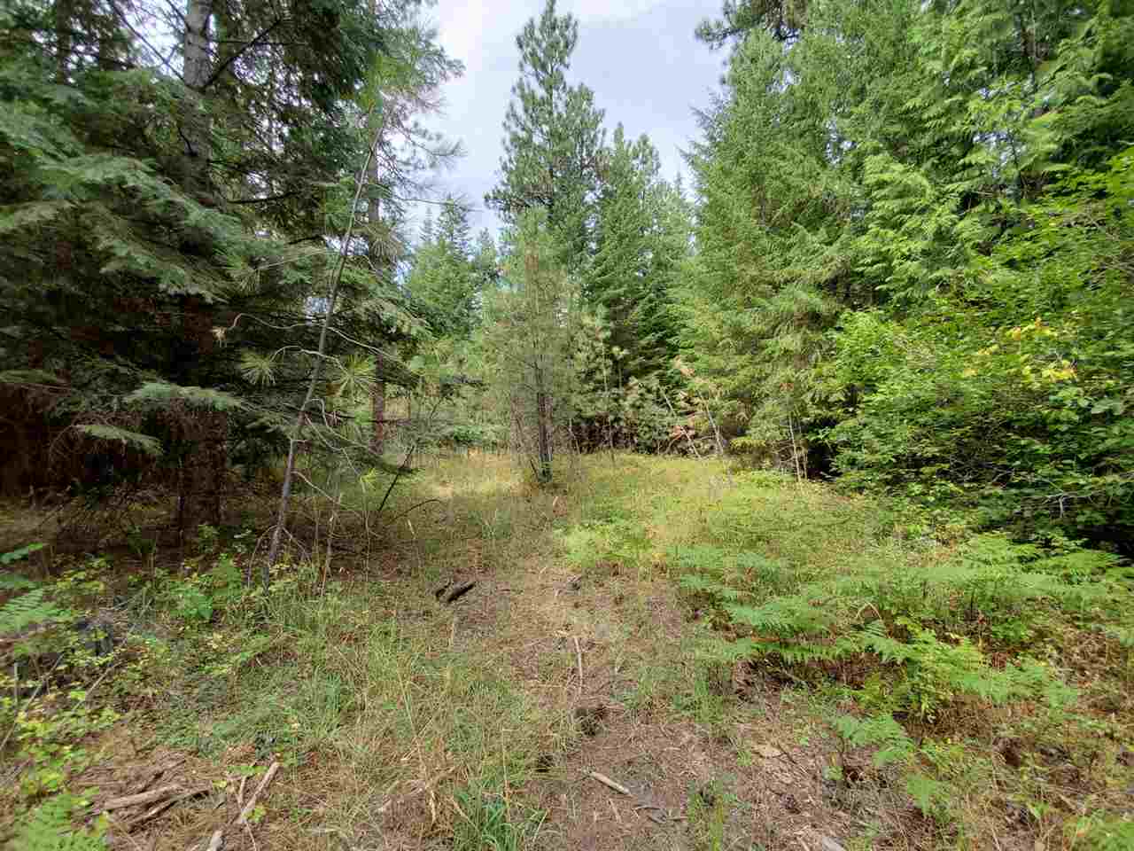 9904 Leclerc Road Newport, WA 99156 - Photo 27 of 40 Gallery Image 27