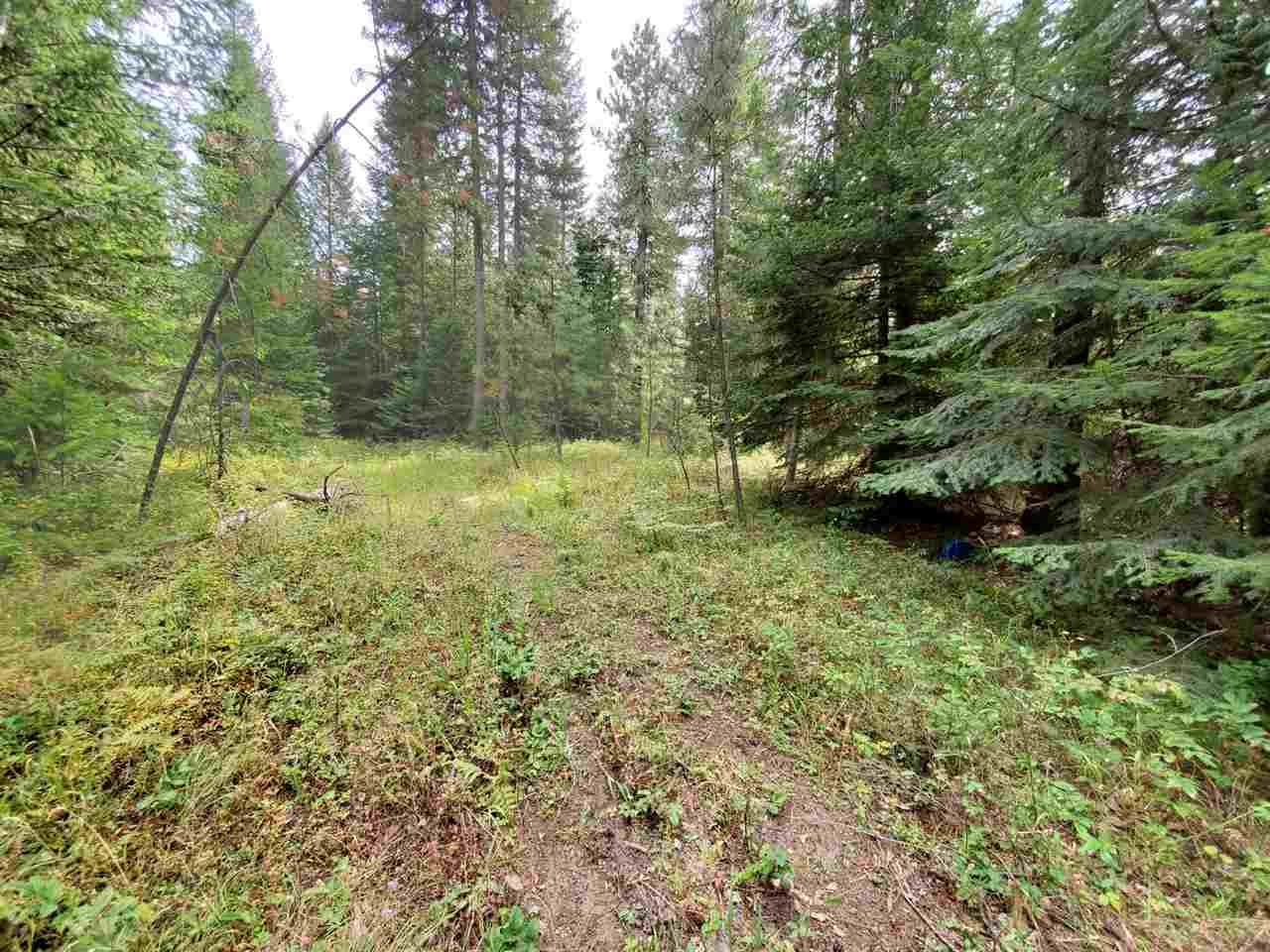 9904 Leclerc Road Newport, WA 99156 - Photo 28 of 40 Gallery Image 28