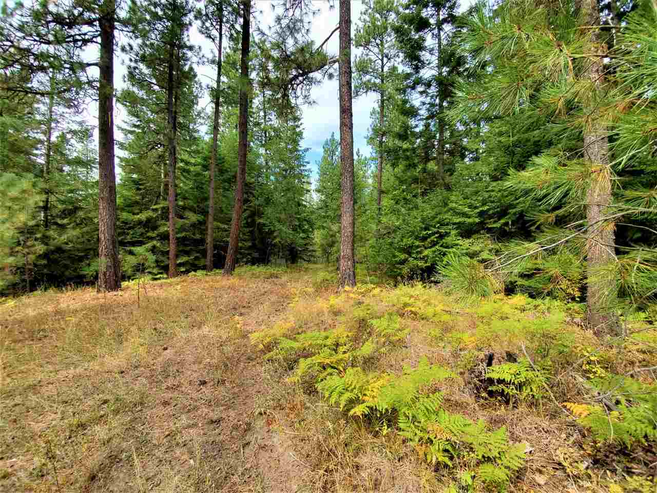 9904 Leclerc Road Newport, WA 99156 - Photo 29 of 40 Gallery Image 29