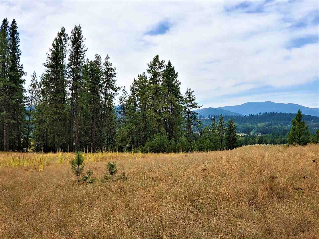 9904 Leclerc Road Newport, WA 99156 - Photo 35 of 40 Gallery Image 35