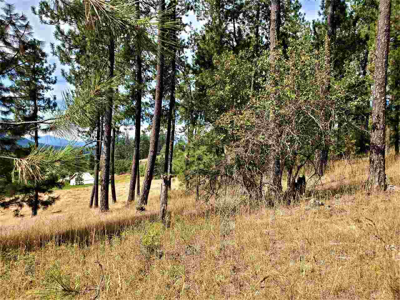 9904 Leclerc Road Newport, WA 99156 - Photo 39 of 40 Gallery Image 39