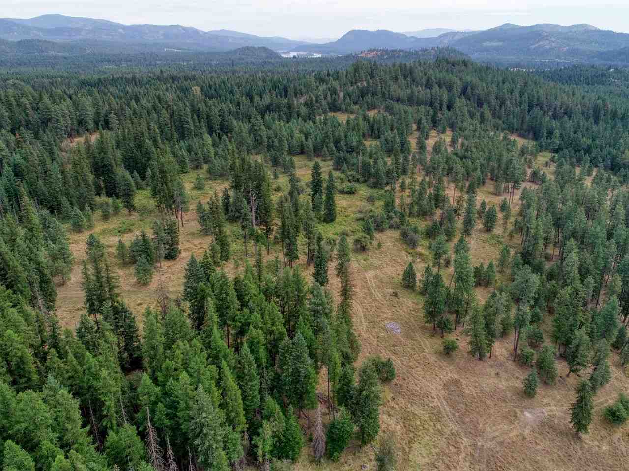 9904 Leclerc Road Newport, WA 99156 - Photo 8 of 40 Gallery Image 8