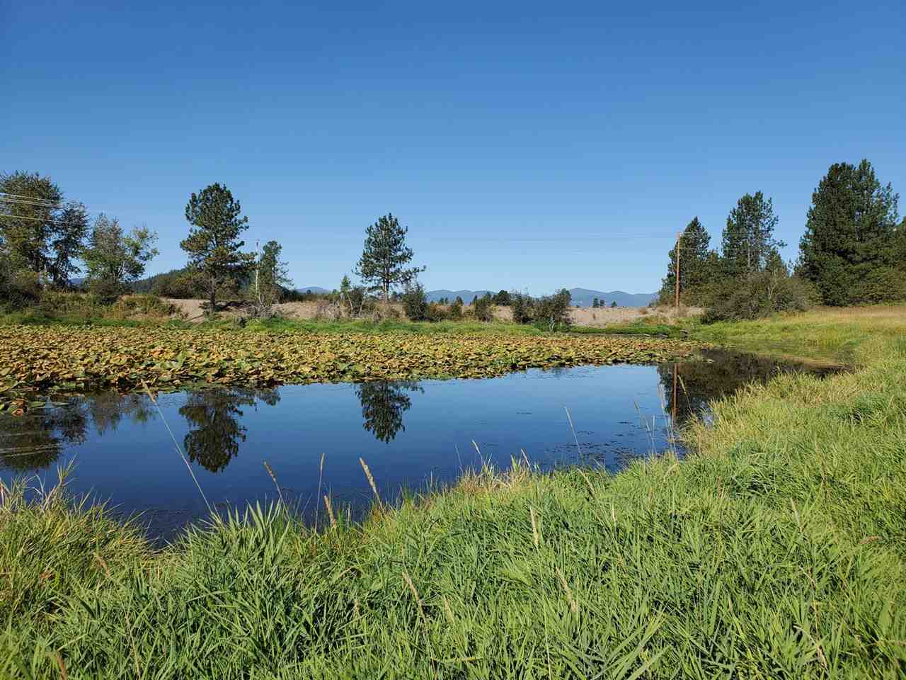 9904 Leclerc Road Newport, WA 99156 - Photo 10 of 40 Gallery Image 10