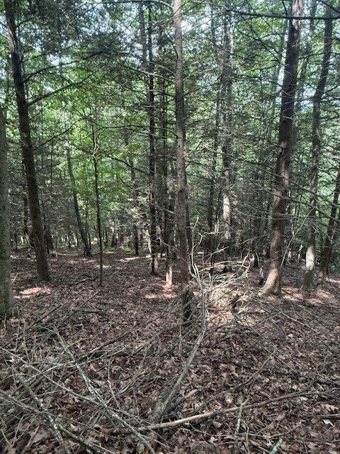 Starlite Drive Crumpler, NC 28617 - Photo 10 of 14 Gallery Image 10