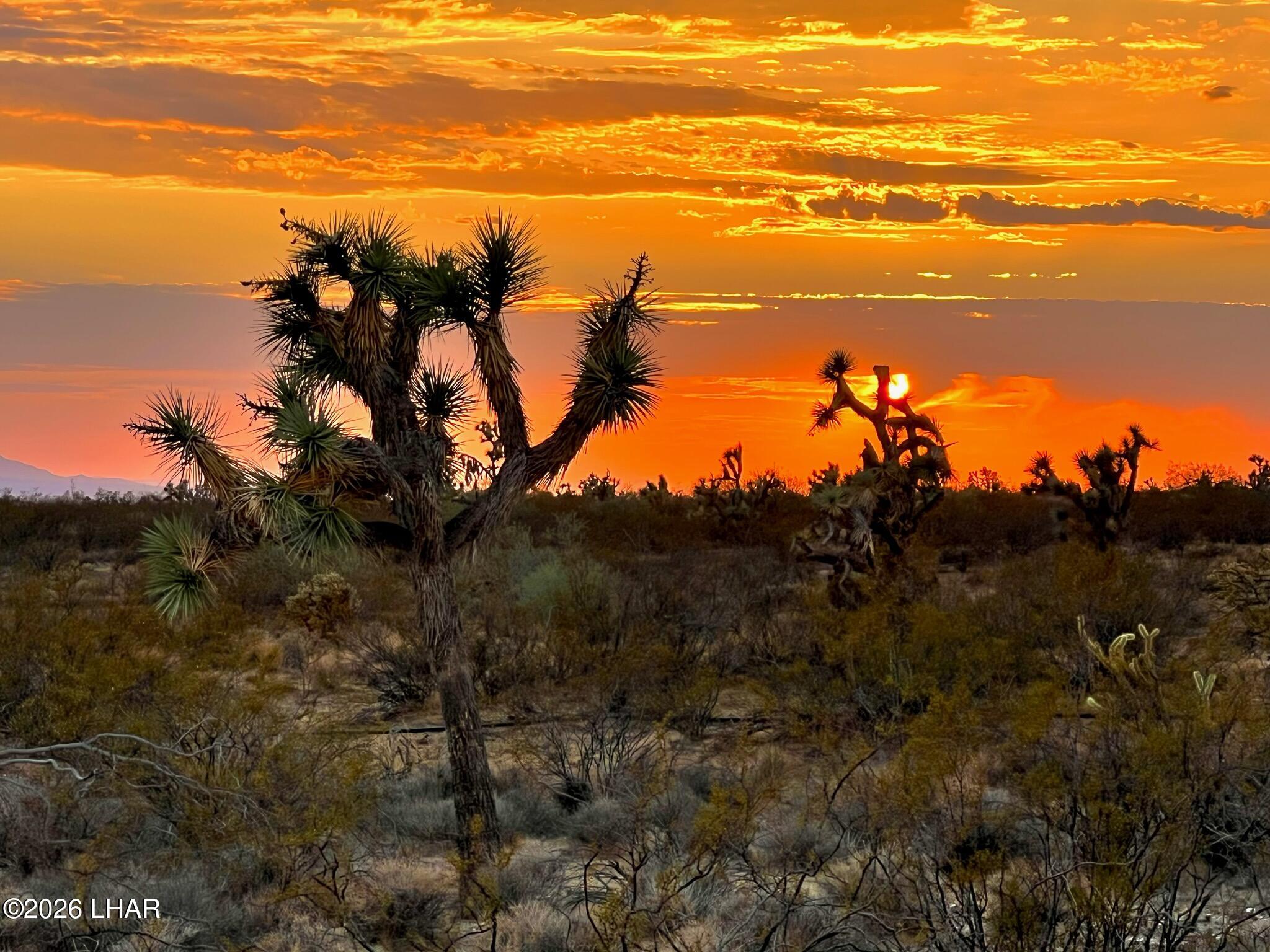 122-37-007 South John Wayne Road Yucca, AZ 86438 - Photo 20 of 21