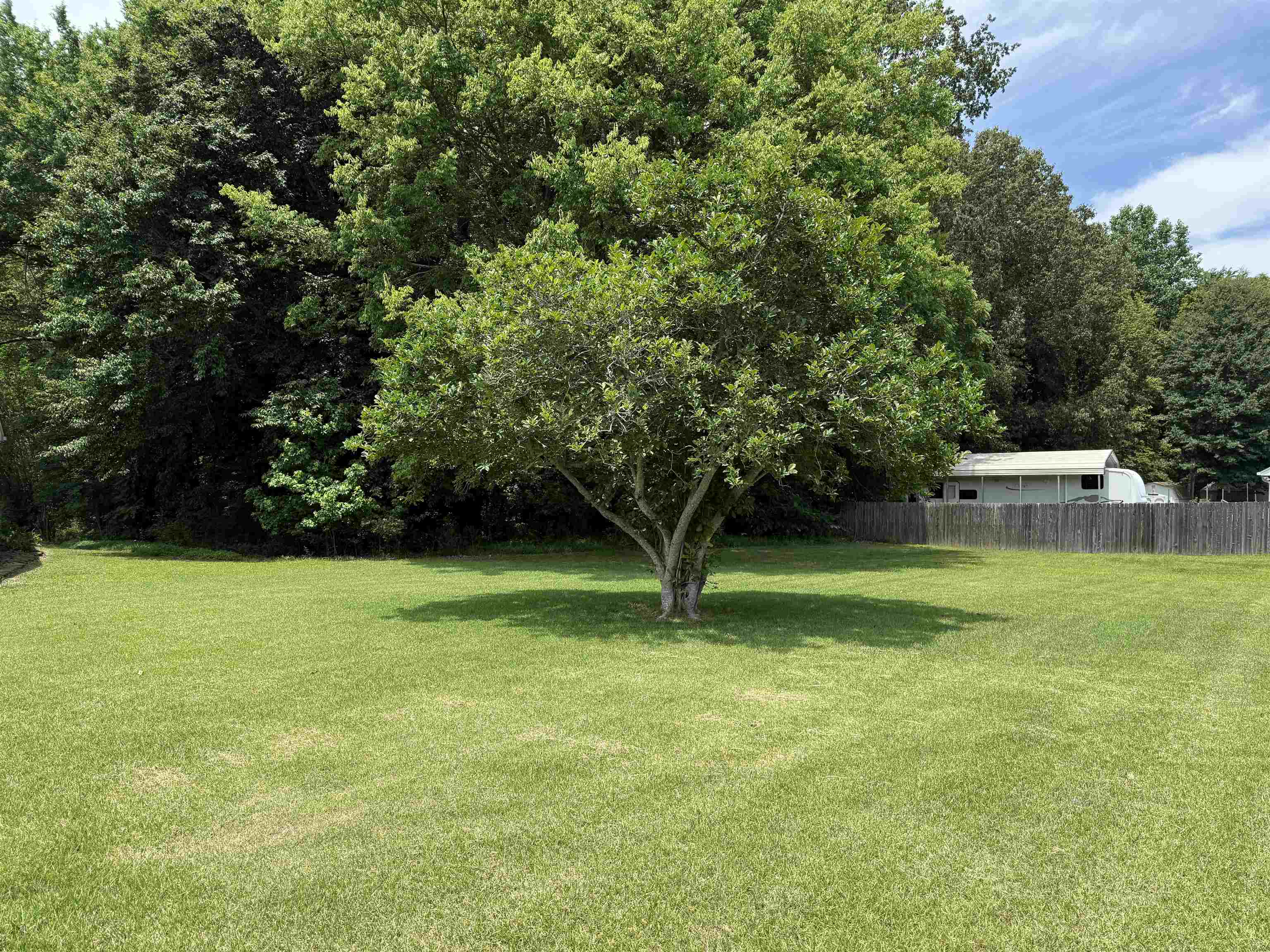 185 Mignon Road Atoka, TN 38004 - Photo 5 of 34 Expansive green lawn with a central deciduous tree providing natural shade