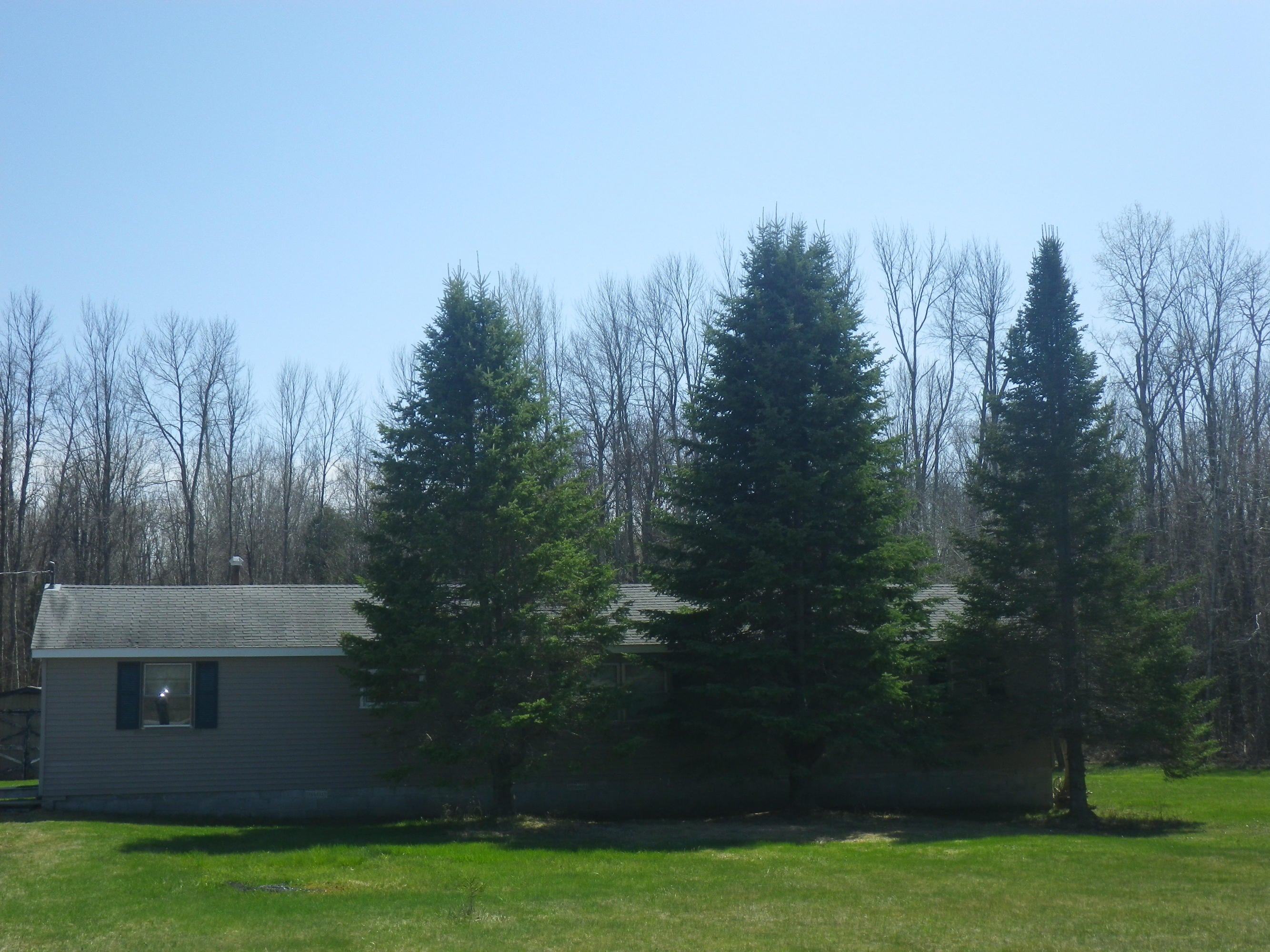 2484 Long Lake Road Cheboygan, MI 49721 - Photo 23 of 29 Gallery Image 23
