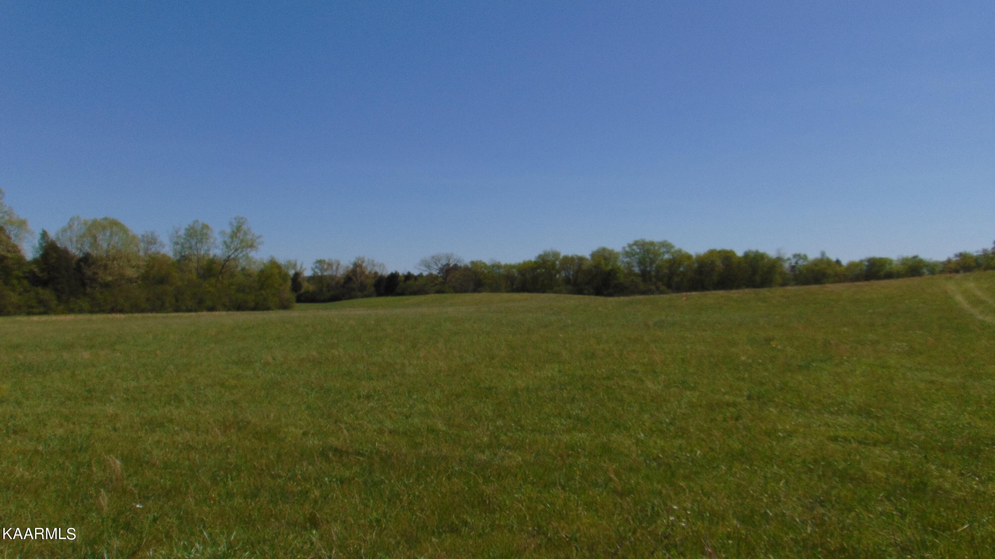 2 Euchee Road Ten Mile, TN 37880 - Photo 4 of 26