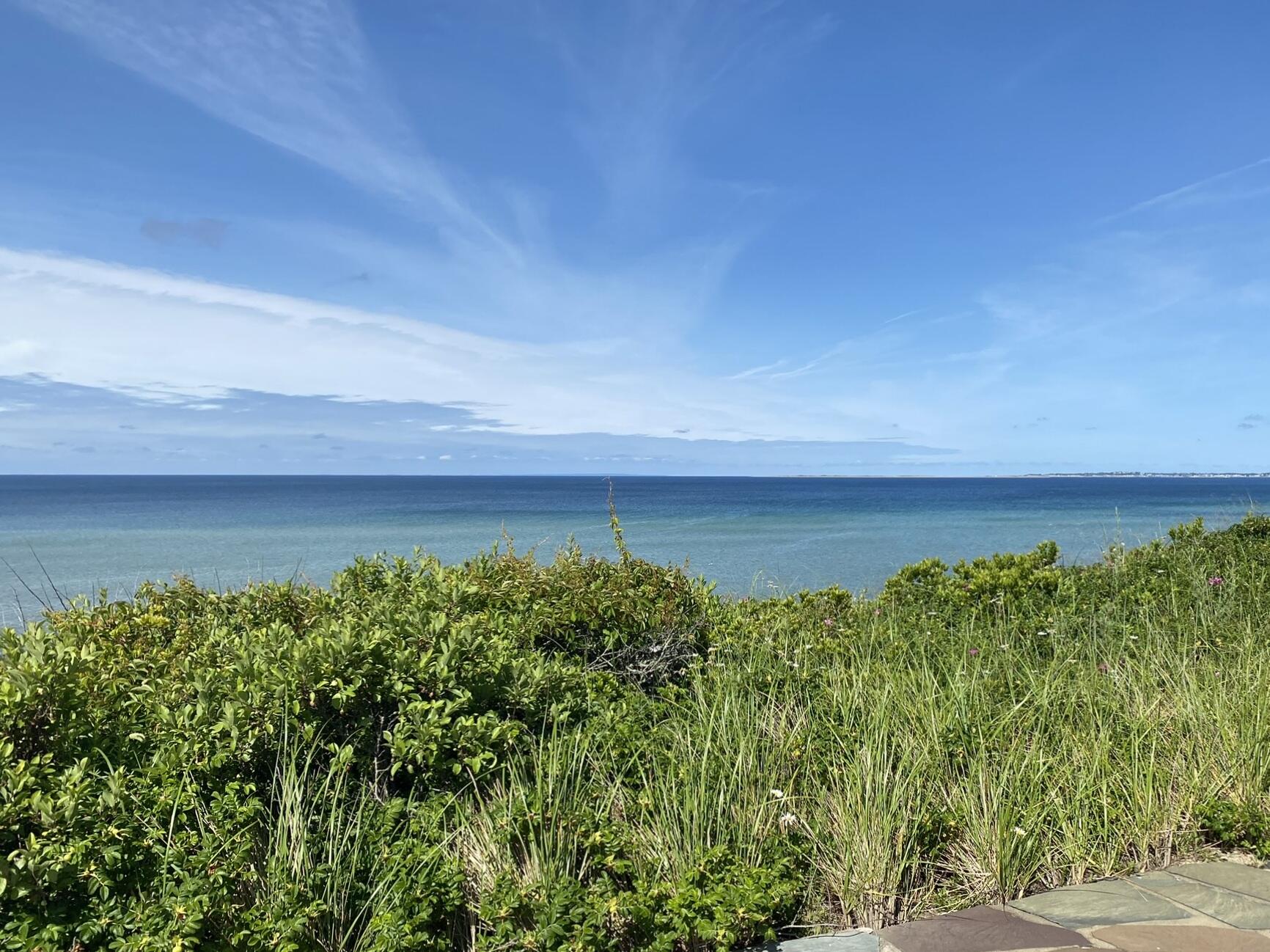 6 Bay View Path Truro, MA 02666 - Photo 51 of 57 a view of a garden