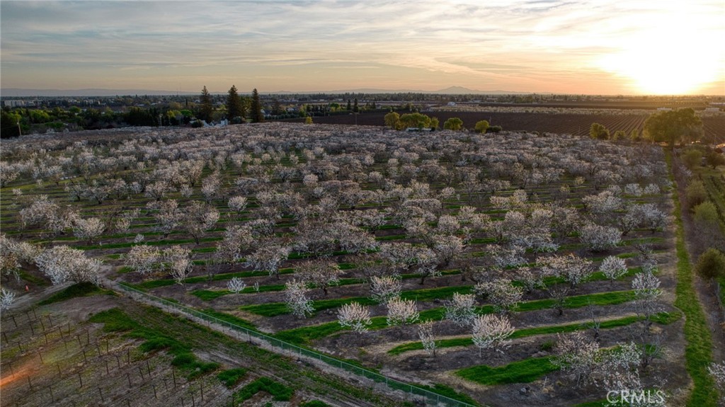 13070 Curry Avenue Lodi, CA 95240 - Photo 51 of 71