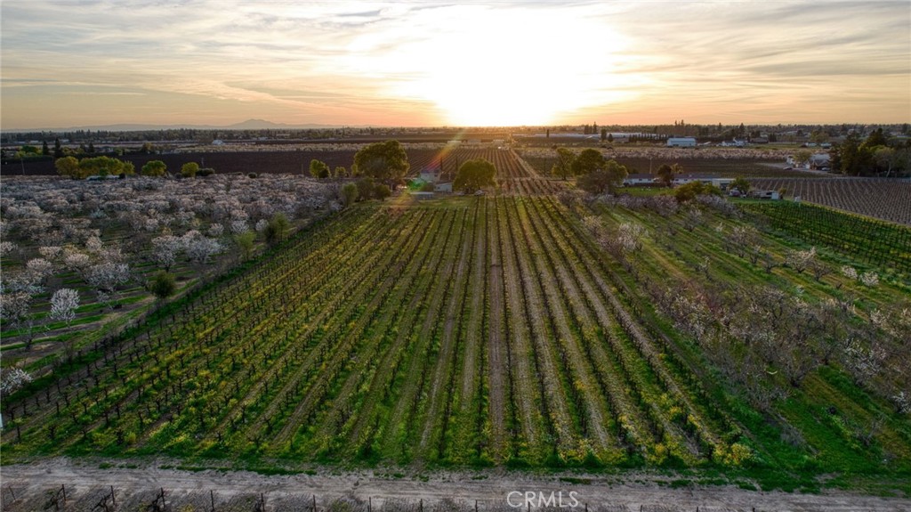13070 Curry Avenue Lodi, CA 95240 - Photo 52 of 71