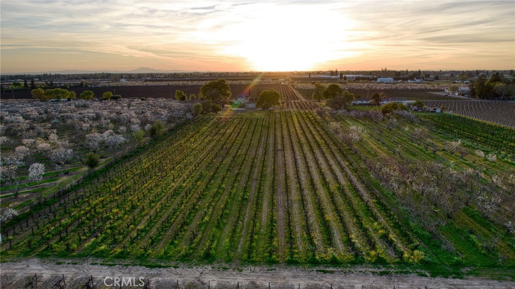 13070 Curry Avenue Lodi, CA 95240 - Photo 65 of 71
