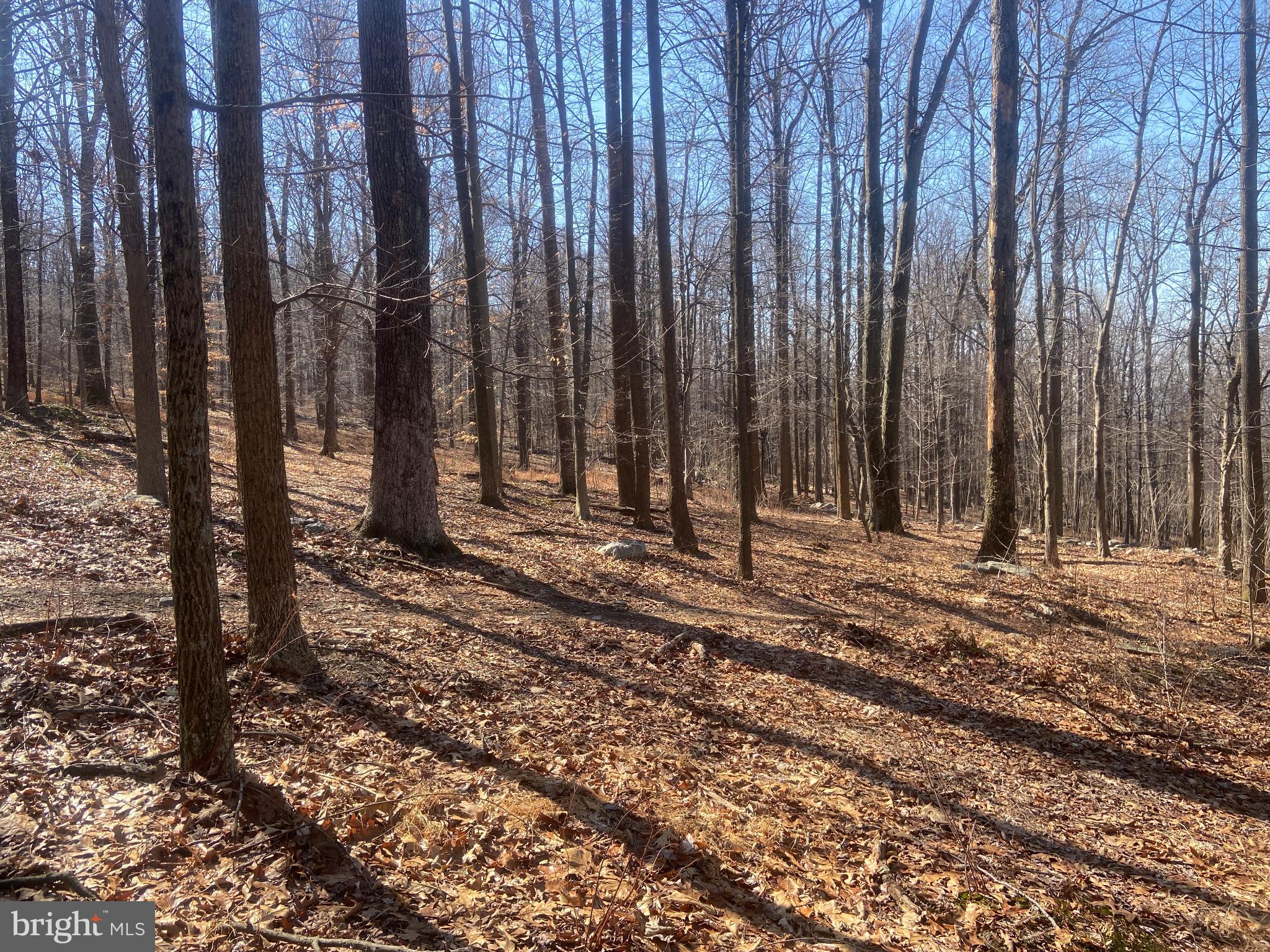 8939 Hawbottom Road Middletown, MD 21769 - Photo 51 of 92 a view of wooden fence with trees