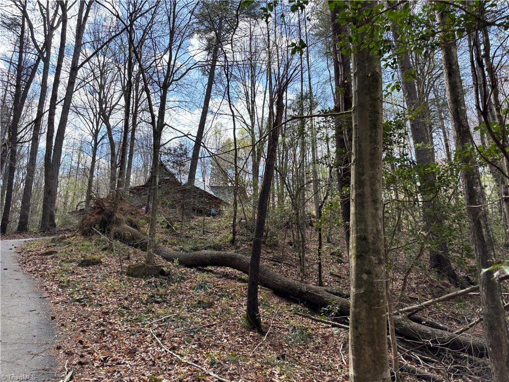 647 Boone Gap Road Boomer, NC 28606 - Photo 17 of 22