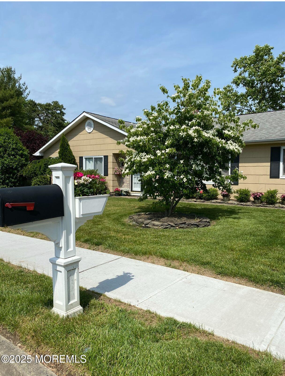 8 South Rhoda Street Monroe Township, NJ 08831 - Photo 5 of 34 WhatsApp Image 2025-02-26 at 1.57.58 PM