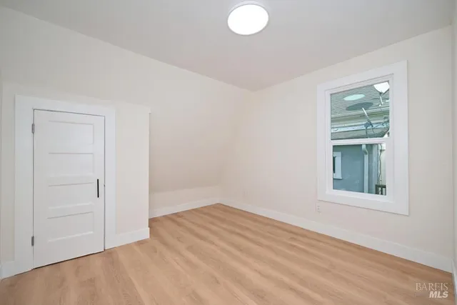 a view of a yard with plants and trees