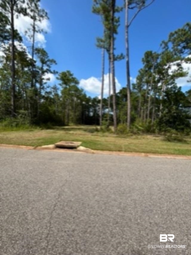 9030 Bay Point Drive Elberta, AL 36530 - Photo 2 of 16 View of street featuring curbs