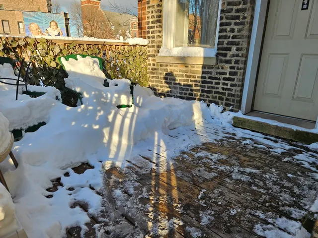 a view of a pathway with a backyard