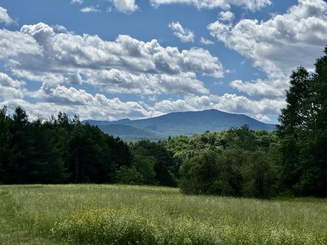 0 Battle Row Road Hyde Park, VT 05655 - Photo 2 of 19