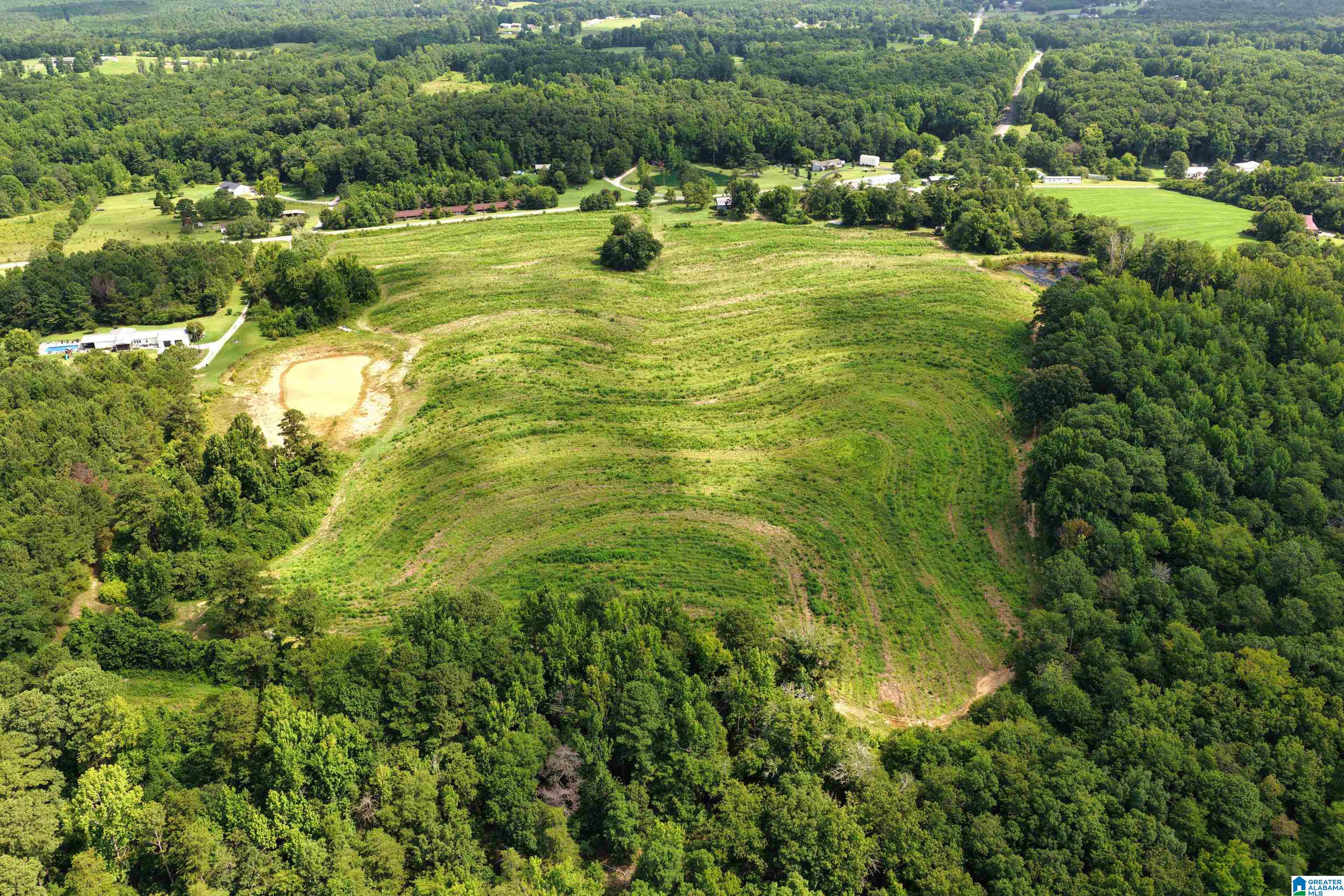 0 County Highway 27, Unit 47 Springville, AL 35146 - Photo 52 of 53