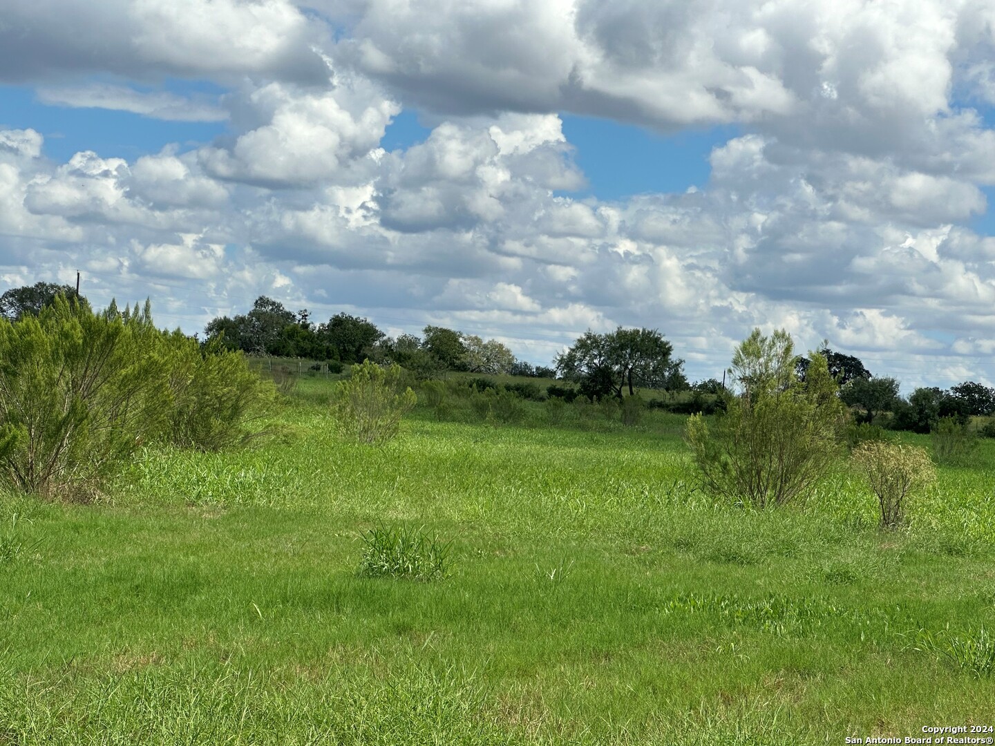 5353 Labus Road Elmendorf, TX 78112 - Photo 1 of 1 a view of a lake with a big yard