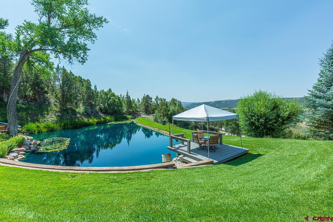 422 North Rainbow Road Durango, CO 81303 - Photo 9 of 34 a swimming pool with outdoor seating yard and green space