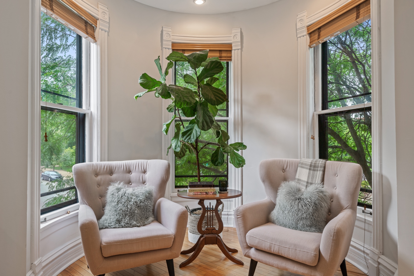 1125 West Belden Avenue, Unit 2 Chicago, IL 60614 - Photo 4 of 10 a living room with furniture and a potted plant