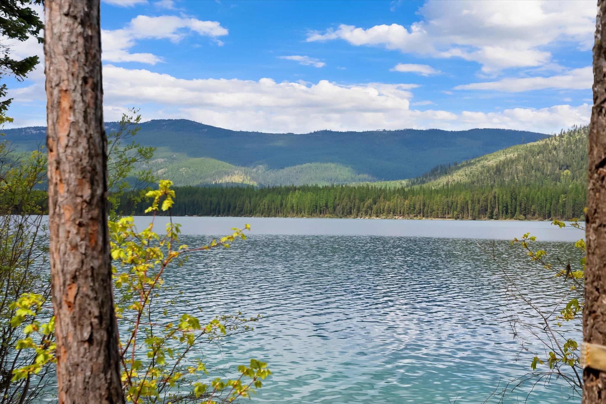 4247 South Ashley Lake Road Kalispell, MT 59901 - Photo 11 of 50 Gallery Image 11