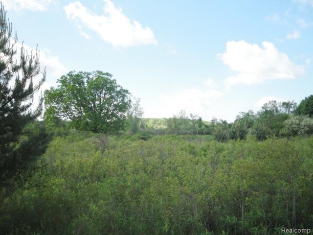 0 Pine Knoll Road Capac, MI 48014 - Photo 3 of 7 #3.jpg